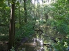 2010_07_22_schlosspark_011